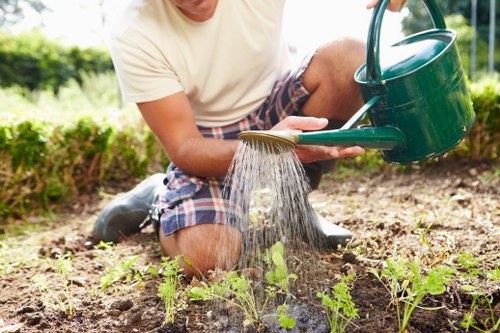 Garden clearance pricing for a St John’s Wood townhouse