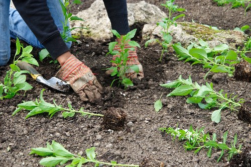 Landscaping team committed to safe, professional outdoor work
