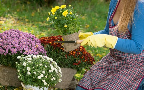 Commercial and communal soft landscaping enhancement in Stjohnswood
