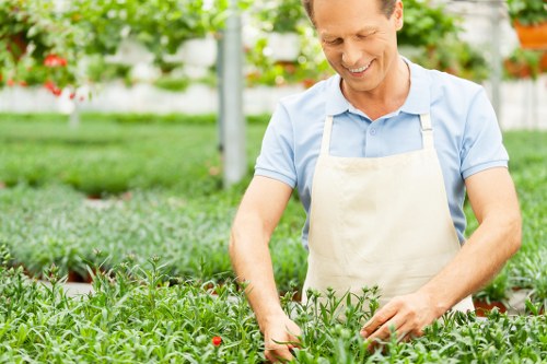 Inspection of garden landscaping concerns on site