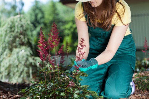 Stylish planting and paved garden design in St Johns Wood
