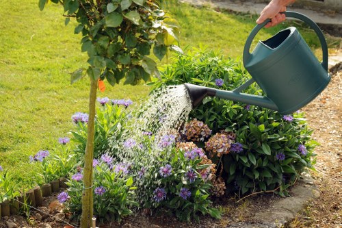Closeboard and panel fencing options for local properties