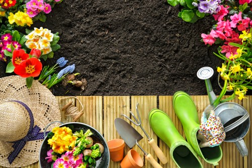 Family garden transformation showing refreshed lawn and privacy planting