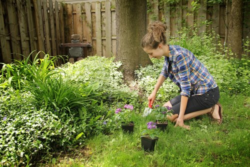 Free quote policy for landscaping in St John’s Wood