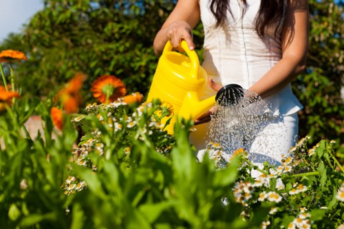 Local garden design and build project with terraces and borders