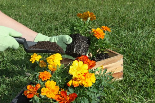 Supervisor checking safety procedures on a landscaping job
