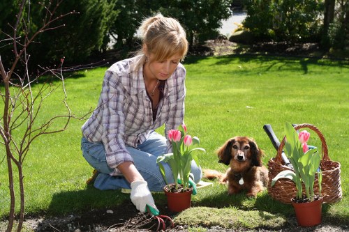 Professional landscaping team completing safe outdoor maintenance work