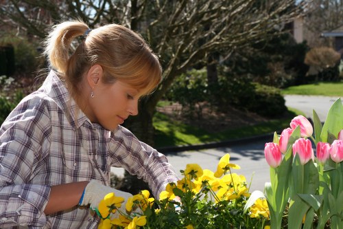 Circular landscaping approach with recycled materials and waste separation