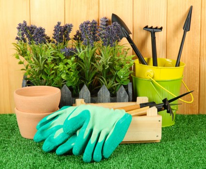 Local garden design and landscaping features for a Stjohnswood home